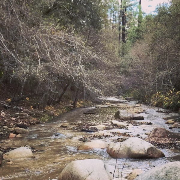 Shady Creek